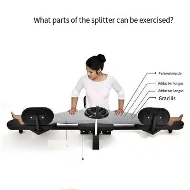 Trenażer mobilności Flex Studio